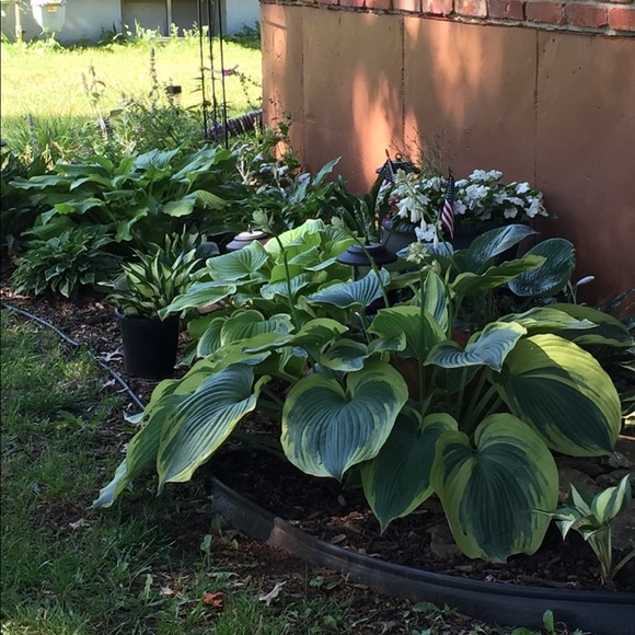 Meet your Posher, Chris - Picture 1 of 1